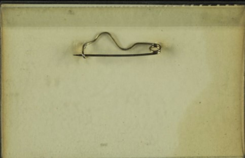 Fig. 3 "Group 35" badge