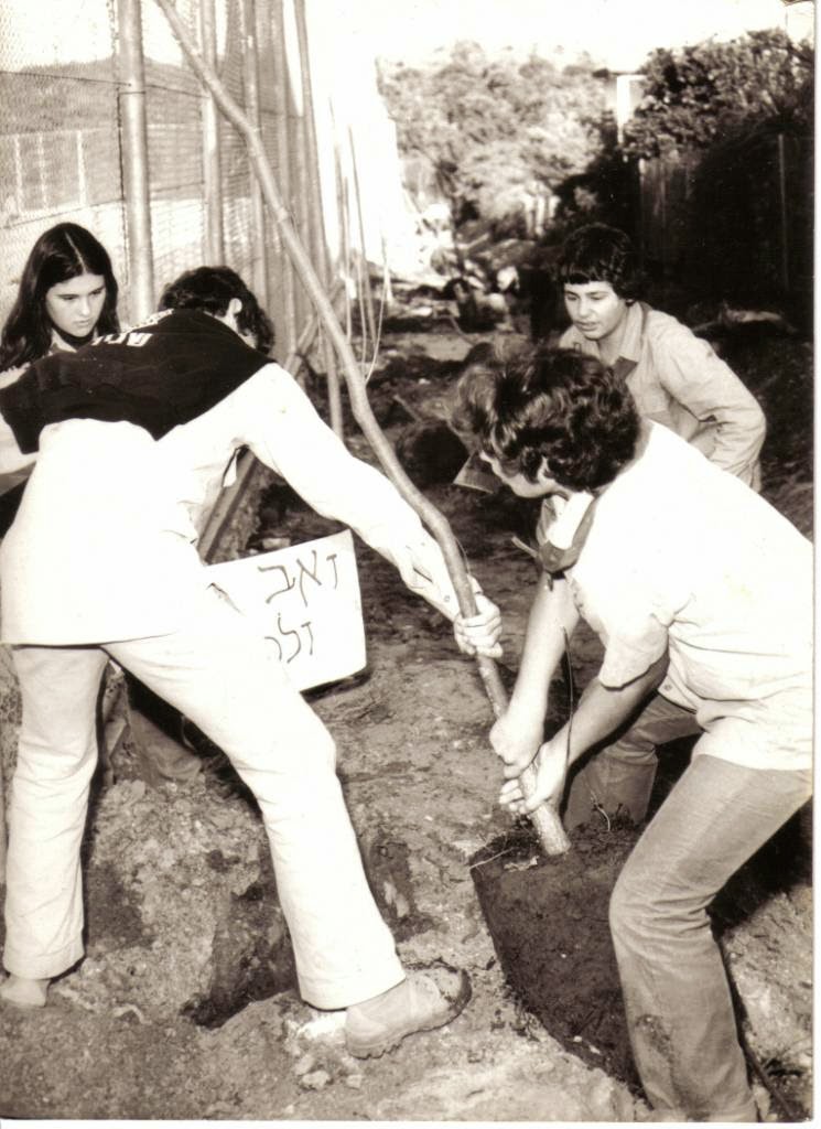 Посадка деревьев в честь узников Сиона. 1979&nbsp;г.